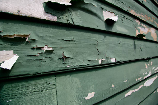 Demolition Debris Removal in Newark, NY