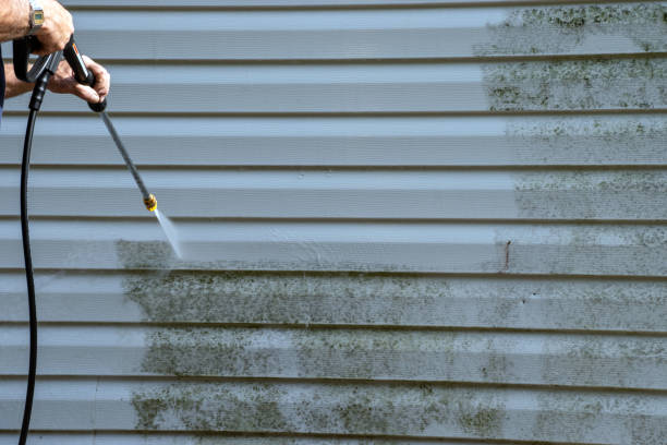 Best Hoarding Cleanup  in Newark, NY